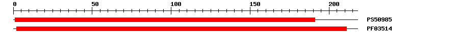 3D Structure