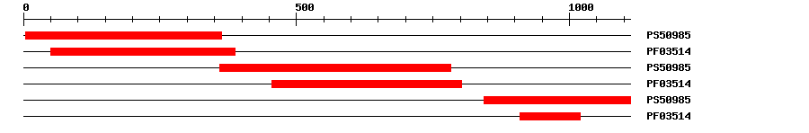 3D Structure