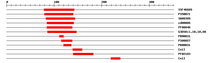 3D Structure