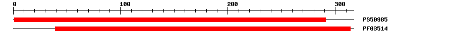 3D Structure