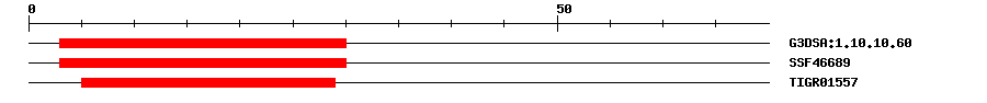 3D Structure