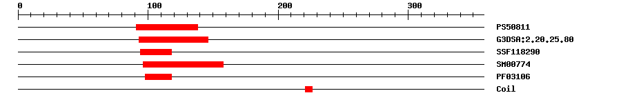 3D Structure