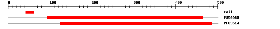 3D Structure