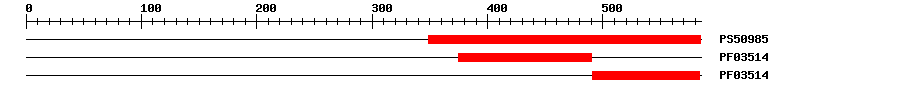 3D Structure