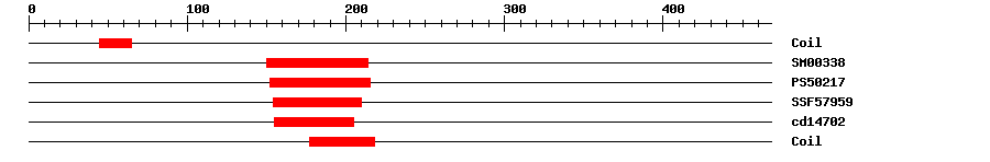 3D Structure