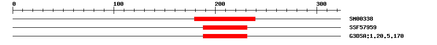 3D Structure