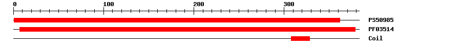 3D Structure