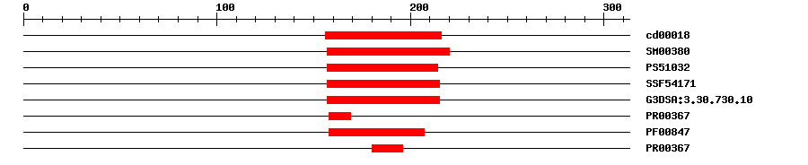 3D Structure