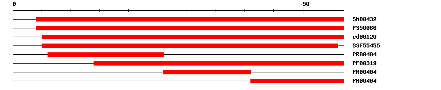 3D Structure