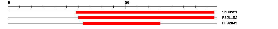 3D Structure