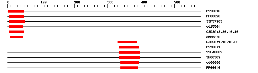 3D Structure