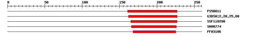 3D Structure