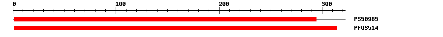 3D Structure
