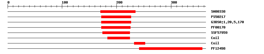 3D Structure