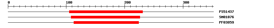 3D Structure