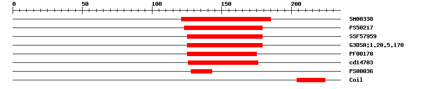 3D Structure