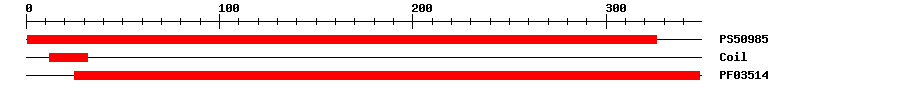 3D Structure