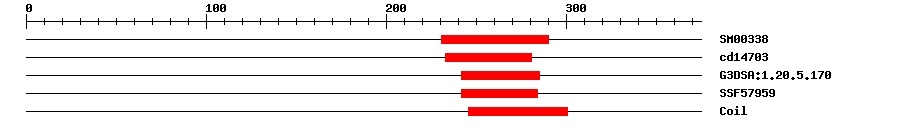 3D Structure