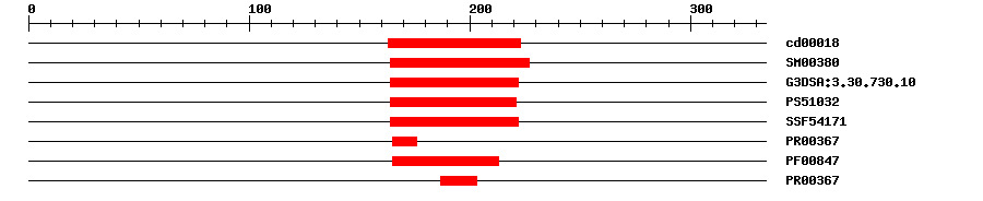 3D Structure