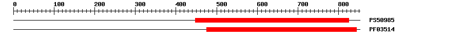 3D Structure