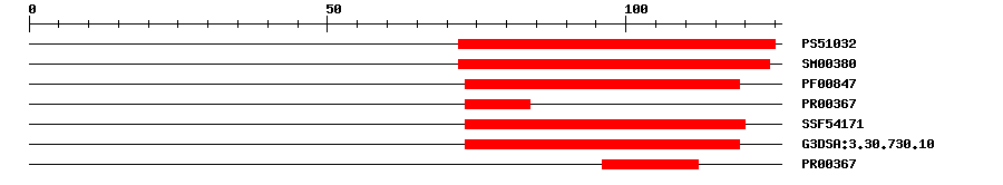 3D Structure