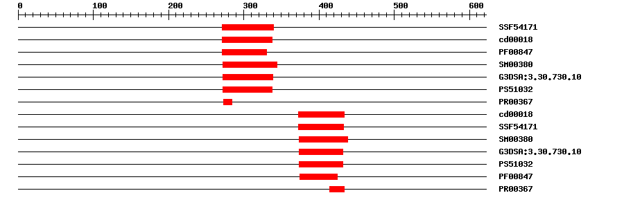 3D Structure