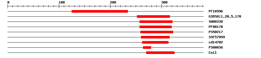 3D Structure