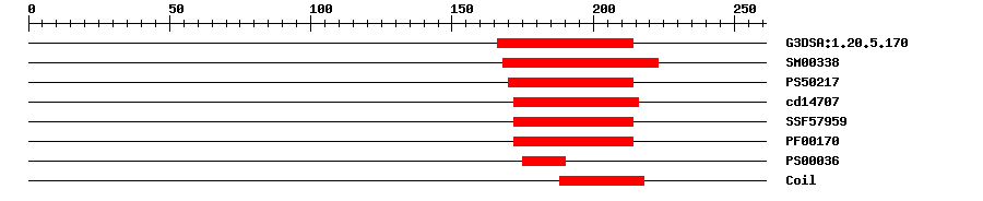 3D Structure