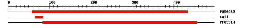 3D Structure