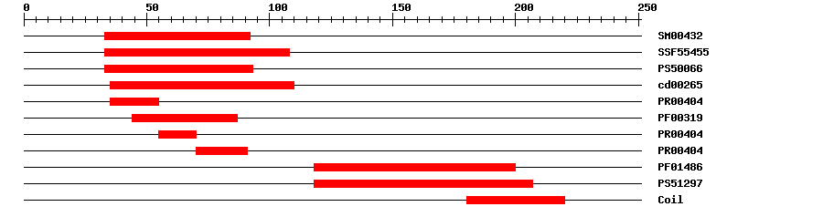 3D Structure