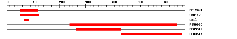 3D Structure