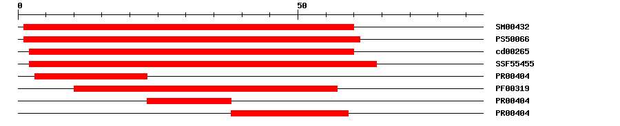 3D Structure