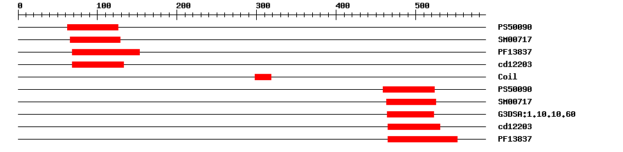 3D Structure