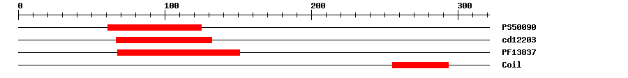3D Structure