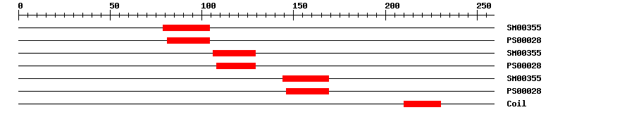 3D Structure