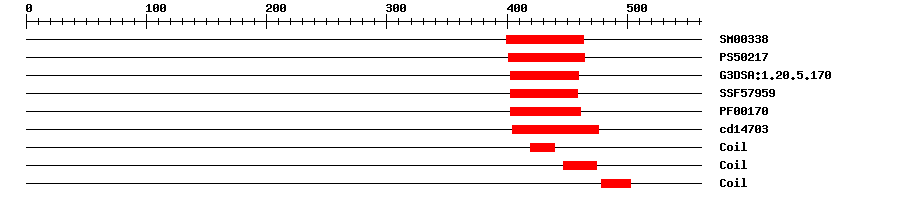 3D Structure