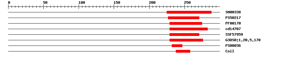 3D Structure