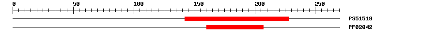 3D Structure