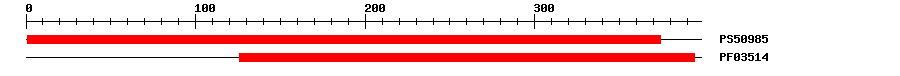 3D Structure