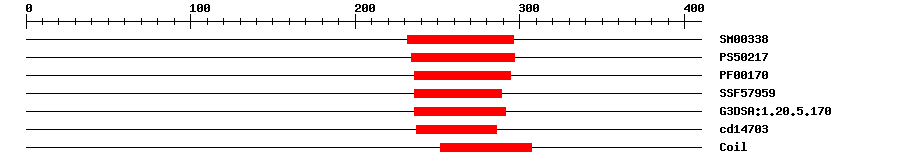 3D Structure