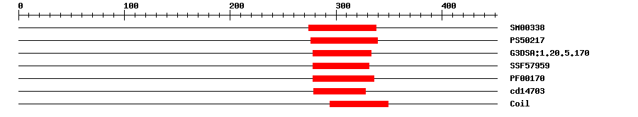 3D Structure