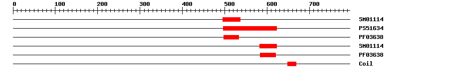 3D Structure