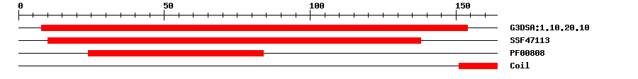 3D Structure