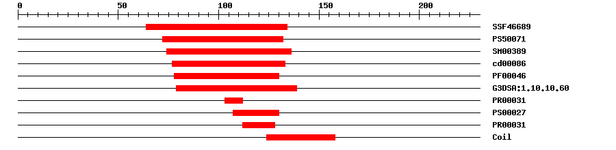 3D Structure