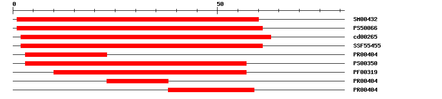 3D Structure