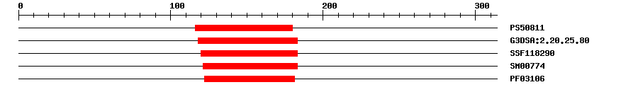 3D Structure