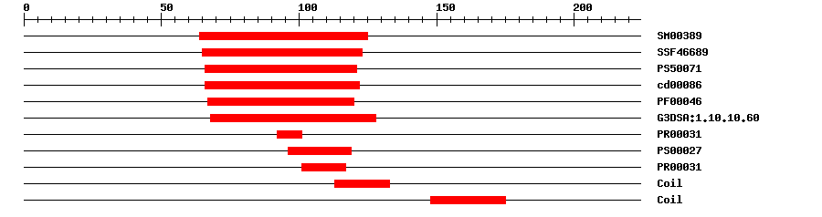 3D Structure