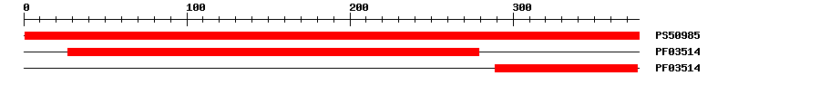 3D Structure