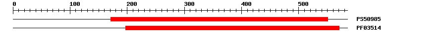 3D Structure