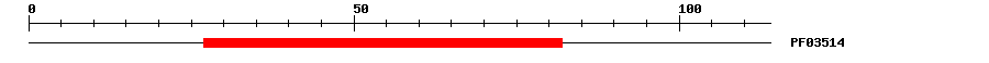 3D Structure